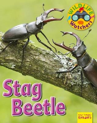 Book cover for Stag Beetle