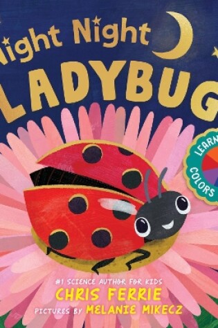 Cover of Night Night Ladybug