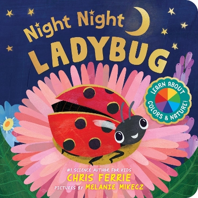 Book cover for Night Night Ladybug