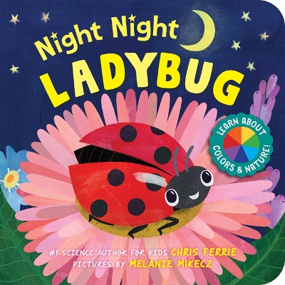 Book cover for Night Night Ladybug