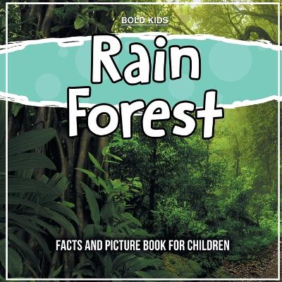 Book cover for Rain Forest