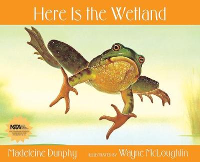 Cover of Here Is the Wetland