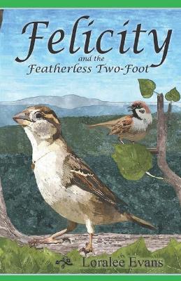 Book cover for Felicity and the Featherless Two-Foot