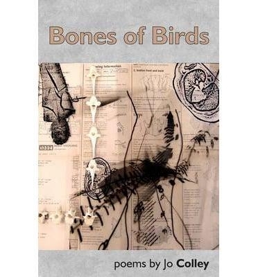 Book cover for Bones of Birds