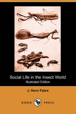 Book cover for Social Life in the Insect World (Illustrated Edition) (Dodo Press)