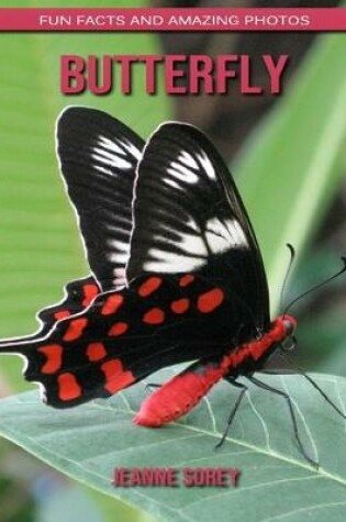 Cover of Butterfly