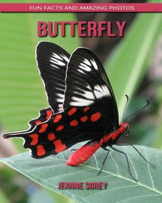 Book cover for Butterfly