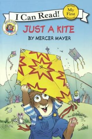 Cover of Just a Kite