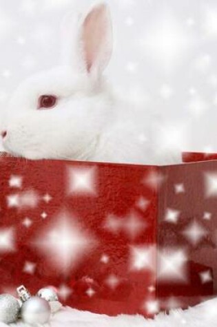 Cover of A White Bunny Christmas Present