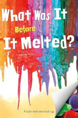 Cover of What Was It Before It Melted?