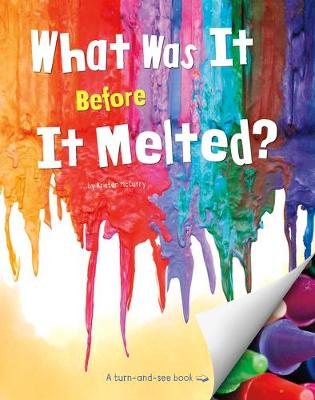 Book cover for What Was It Before It Melted?