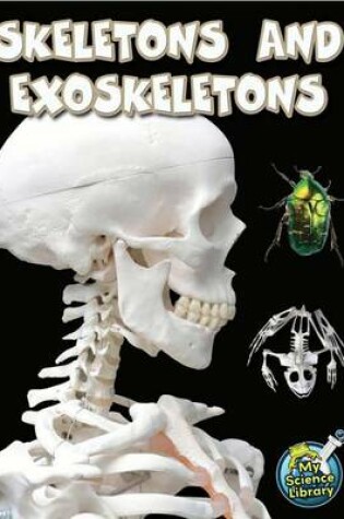 Cover of Skeletons and Exoskeletons