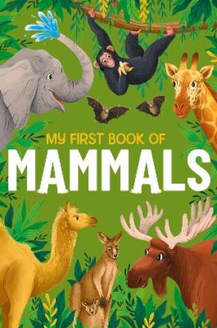 Cover of My First Book of Mammals