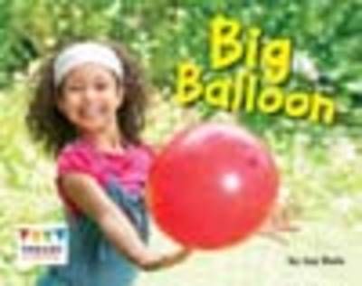 Book cover for Big Balloon 6 Pack