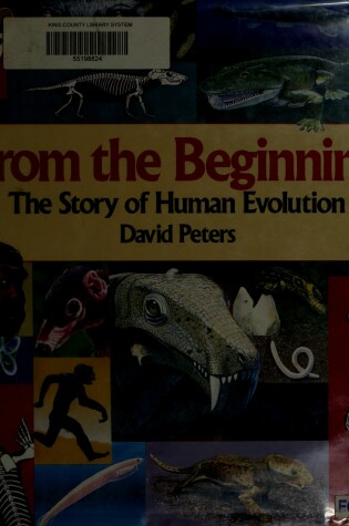 Cover of From the Beginning