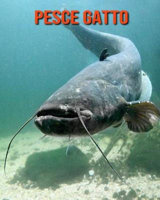 Book cover for Pesce gatto