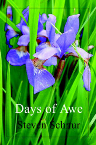 Cover of Days of Awe