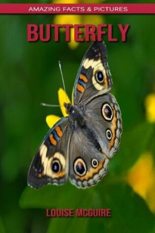 Cover of Butterfly