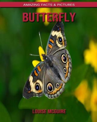 Book cover for Butterfly