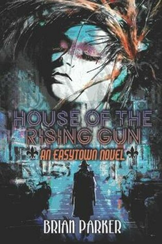 Cover of House of the Rising Gun