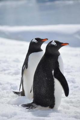 Book cover for Two Gentoo Penguins in the Snow Journal