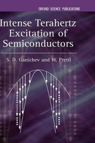 Cover of Intense Terahertz Excitation of Semiconductors