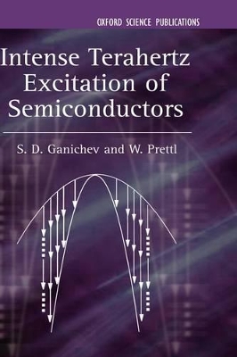 Cover of Intense Terahertz Excitation of Semiconductors