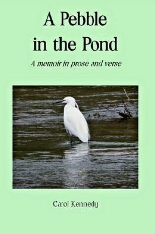 Cover of A Pebble in the Pond