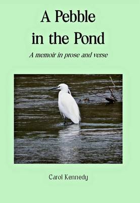 Book cover for A Pebble in the Pond