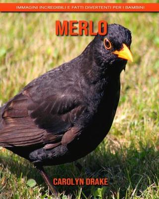Book cover for Merlo