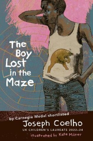 Cover of The Boy Lost in the Maze