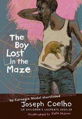 Cover of The Boy Lost in the Maze