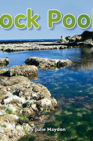 Cover of Rock Pools