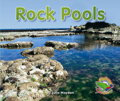 Book cover for Rock Pools