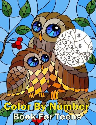 Book cover for Color By Number Book For Teens