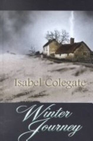 Cover of Winter Journey