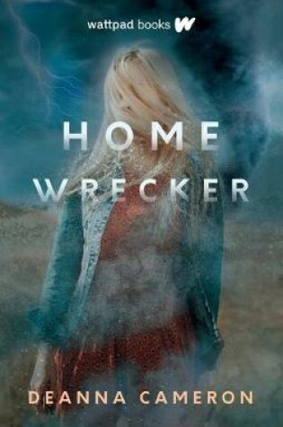 Cover of Homewrecker
