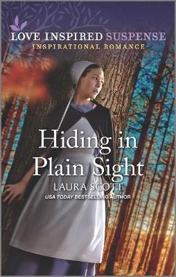 Book cover for Hiding in Plain Sight