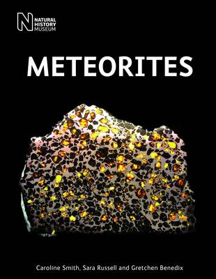 Book cover for Meteorites