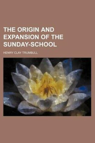 Cover of The Origin and Expansion of the Sunday-School