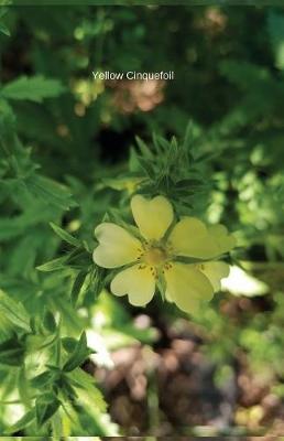 Cover of Yellow Cinquefoil