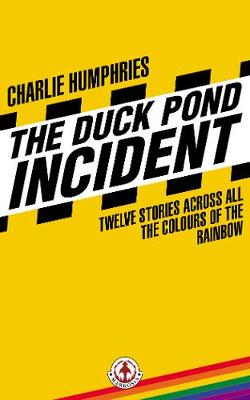 Book cover for The Duck Pond Incident