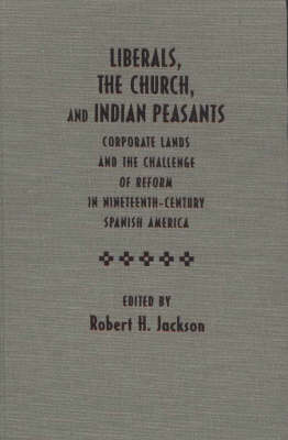 Book cover for Liberals, the Church, and Indian Peasants