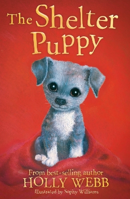 Book cover for The Shelter Puppy