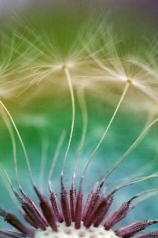 Cover of Journal Dandelion Flower Seeds Close Up