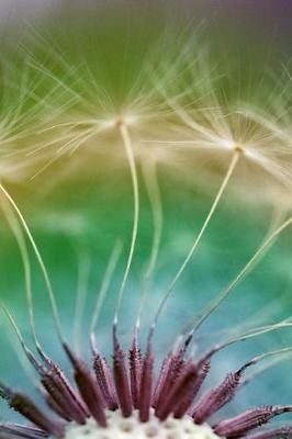 Book cover for Journal Dandelion Flower Seeds Close Up