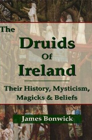 Cover of The Druids of Ireland Their History, Mysticism, Magicks and Beliefs