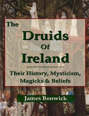 Book cover for The Druids of Ireland Their History, Mysticism, Magicks and Beliefs