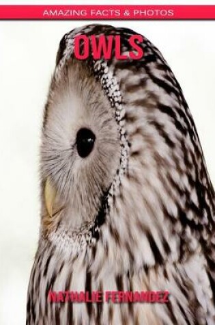 Cover of Owls