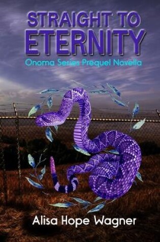 Cover of Straight to Eternity